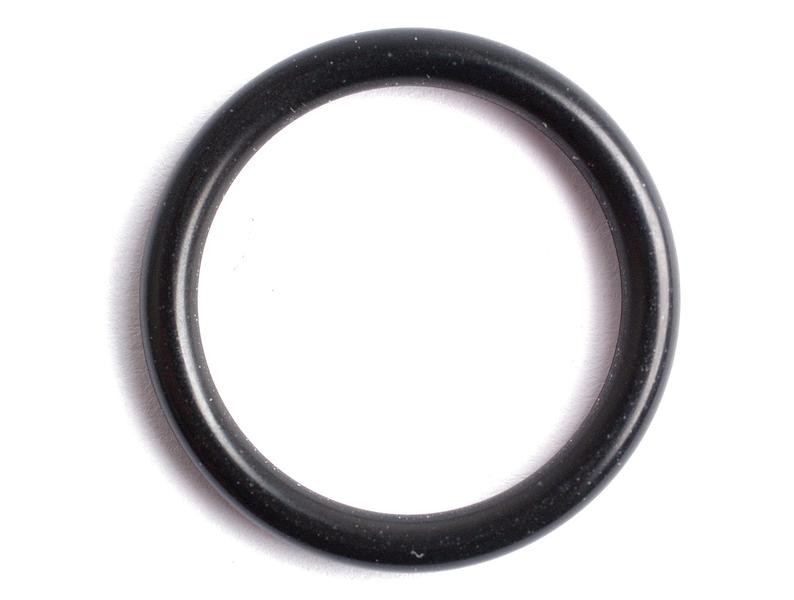 O-Ring für Hydrauliksegmentwelle