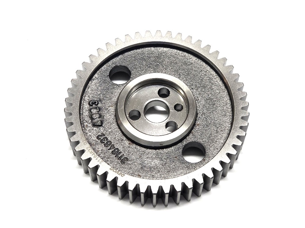 Zahnrad  - Einspritzpumpe