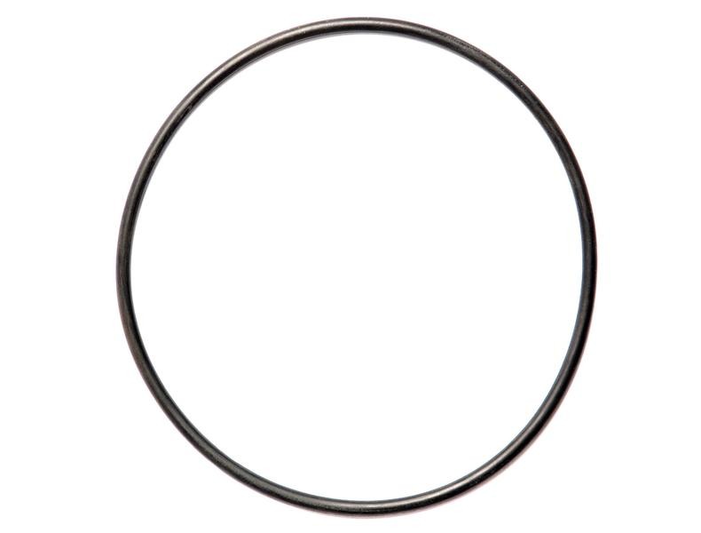 O-Ring für Lenkungspumpe