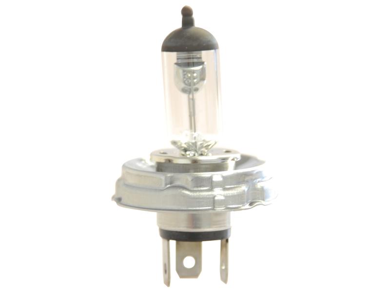 Glühlampe 12V, 55W Watt, P45t Sockel