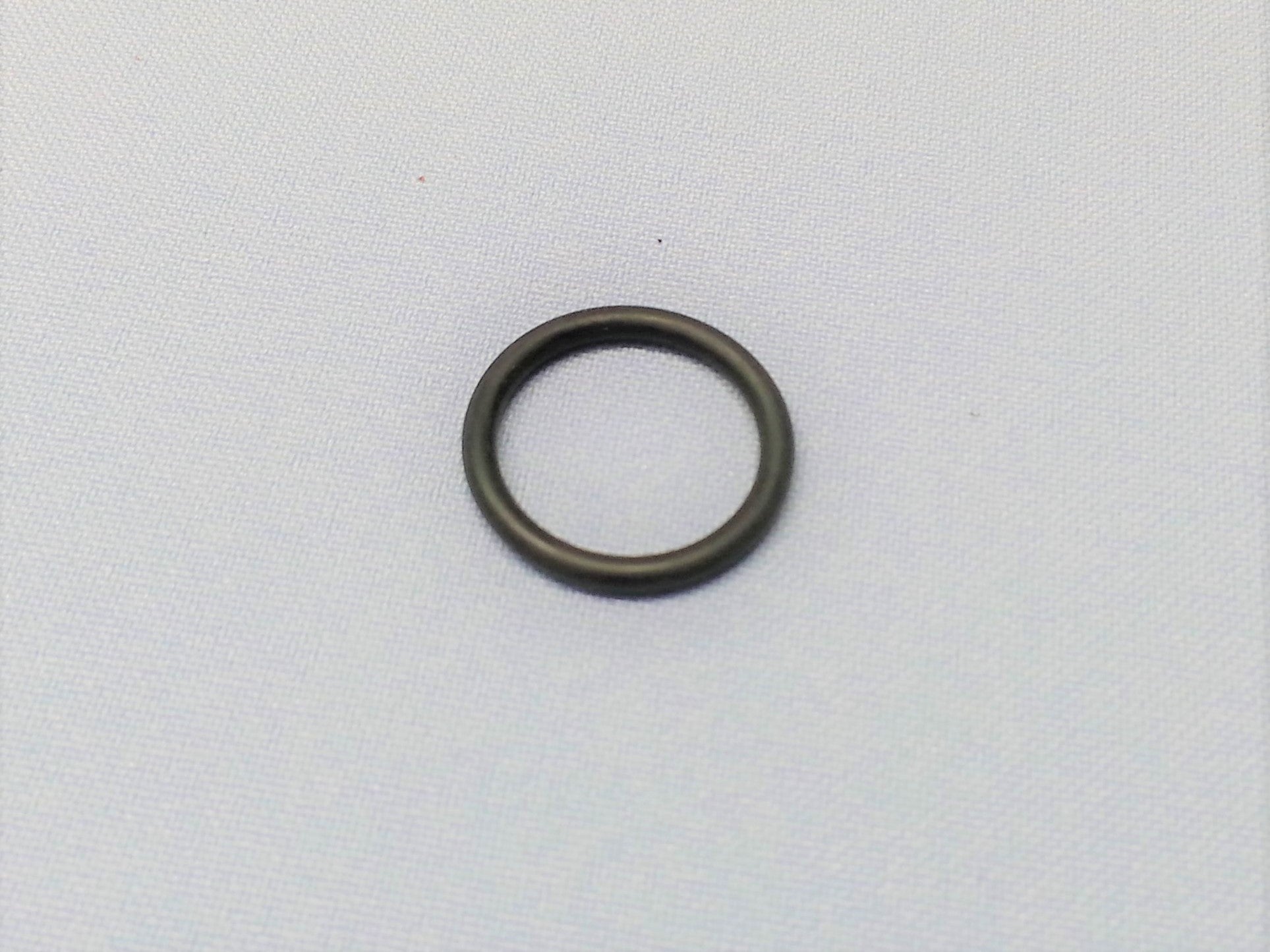 O-Ring für Verstellsegmentwelle